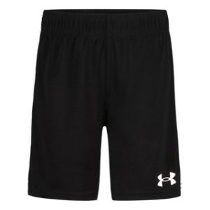 UA Tech™ Vent Little Boys' Shorts