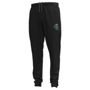 UA Vanish Woven Collegiate Men's Pants
